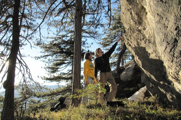 Pacchetti Melloblocco2025